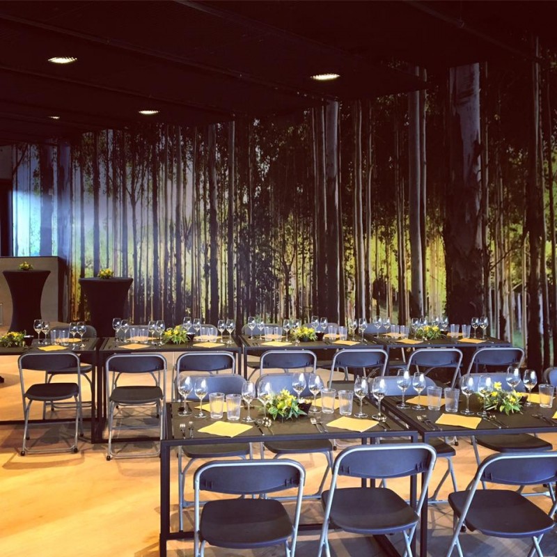 De Living - De Zaal — foto 2