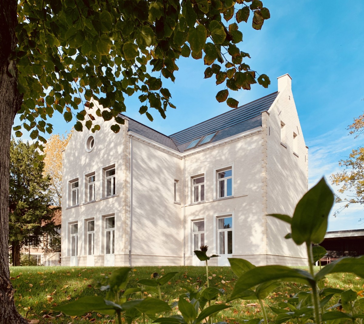 Pastorie Leke — photo 2