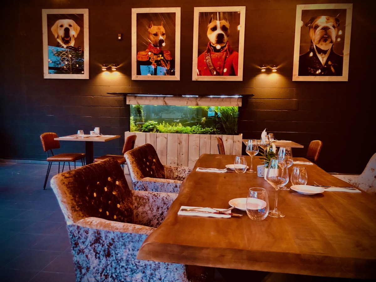 Brasserie The Duke — photo 3
