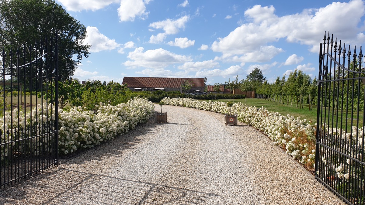 B&B Meesterhof — photo 3