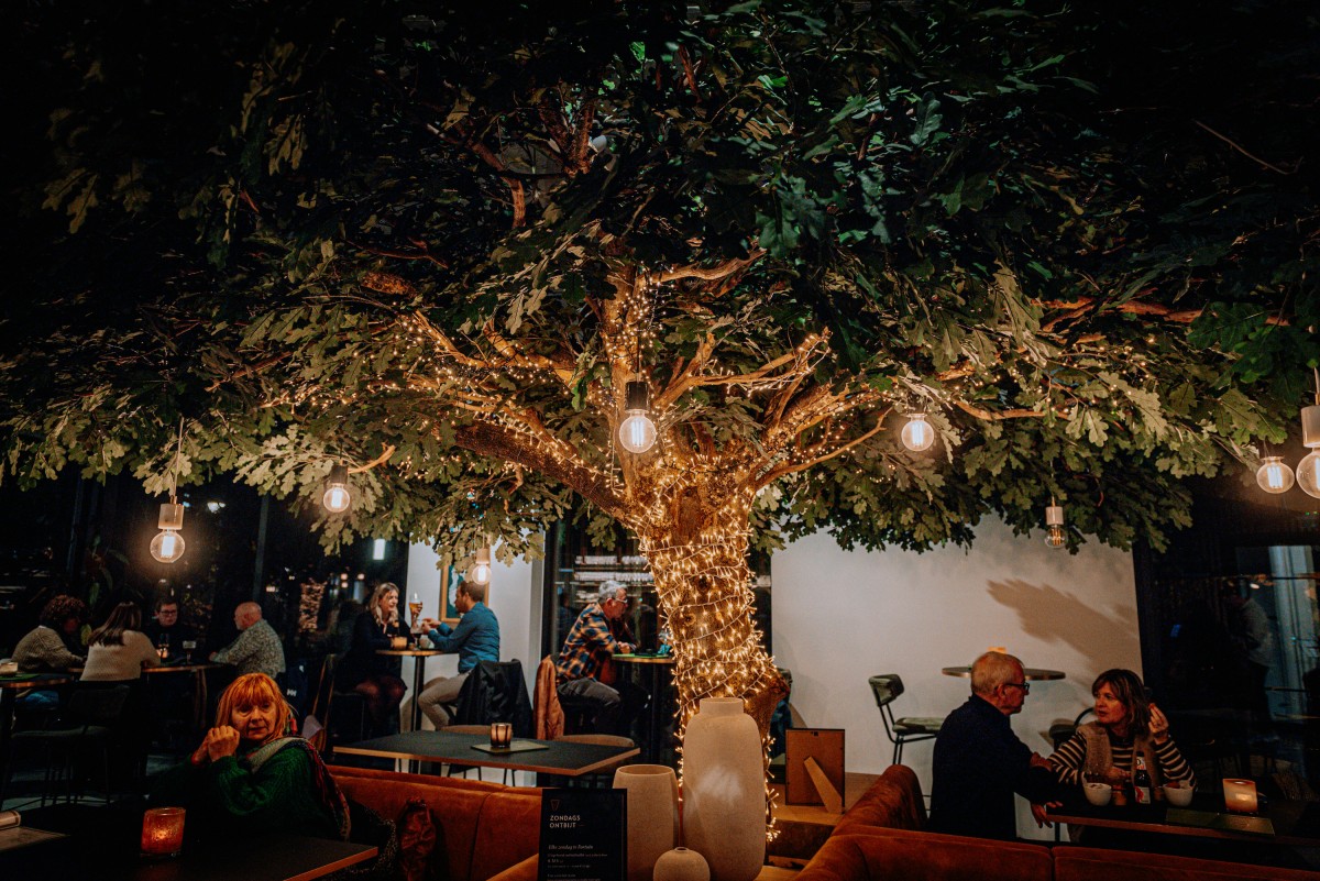 Fortuin Kontich — photo 4