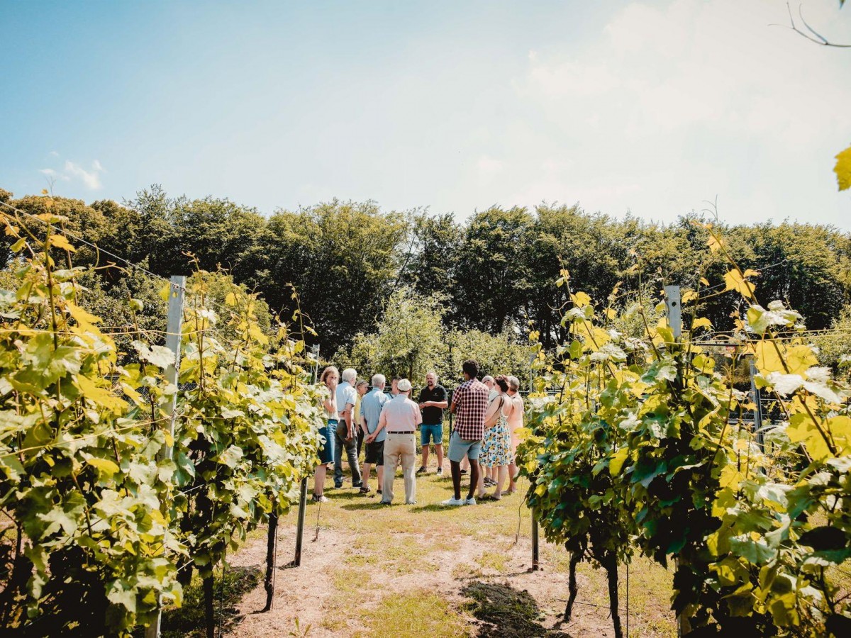 Wijndomein Oud Conynsbergh — foto 3