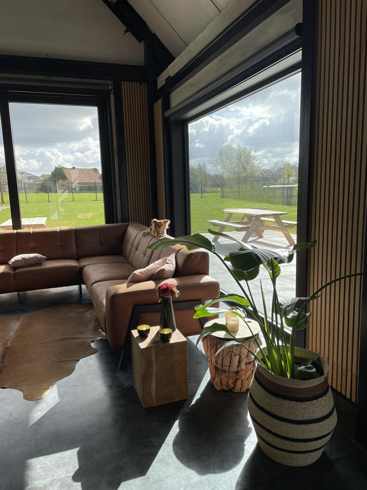 Hof bel'ami — foto 5
