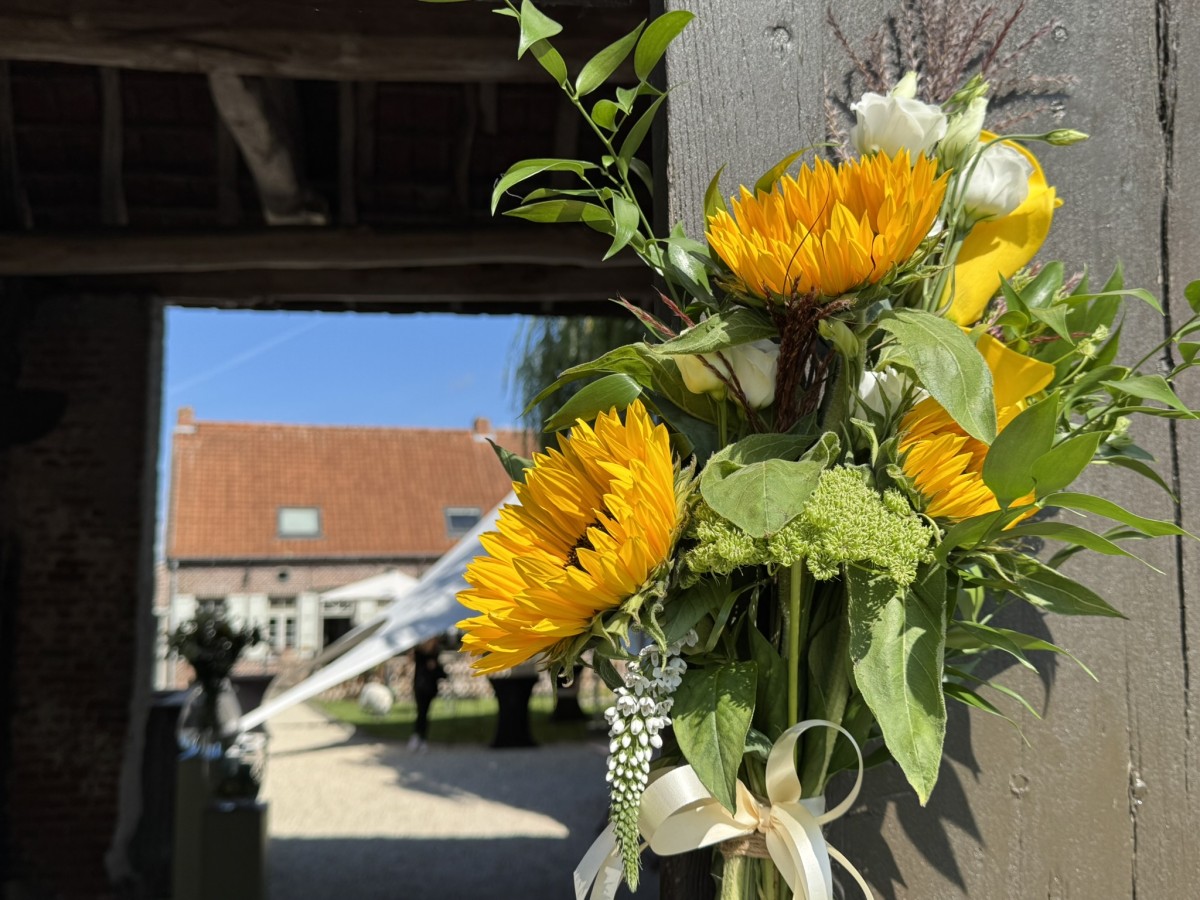 Hof Ter Bellebroek — photo 4