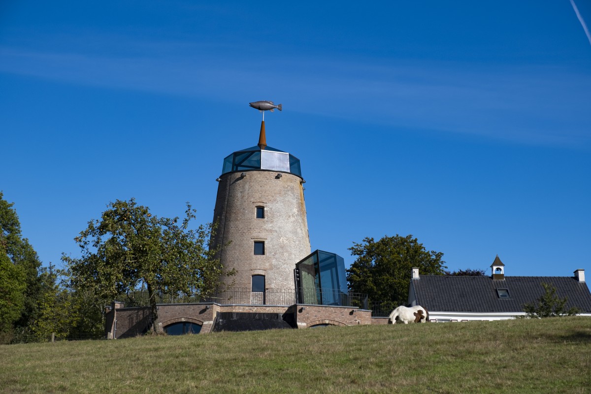 Molen De Vis — photo 2
