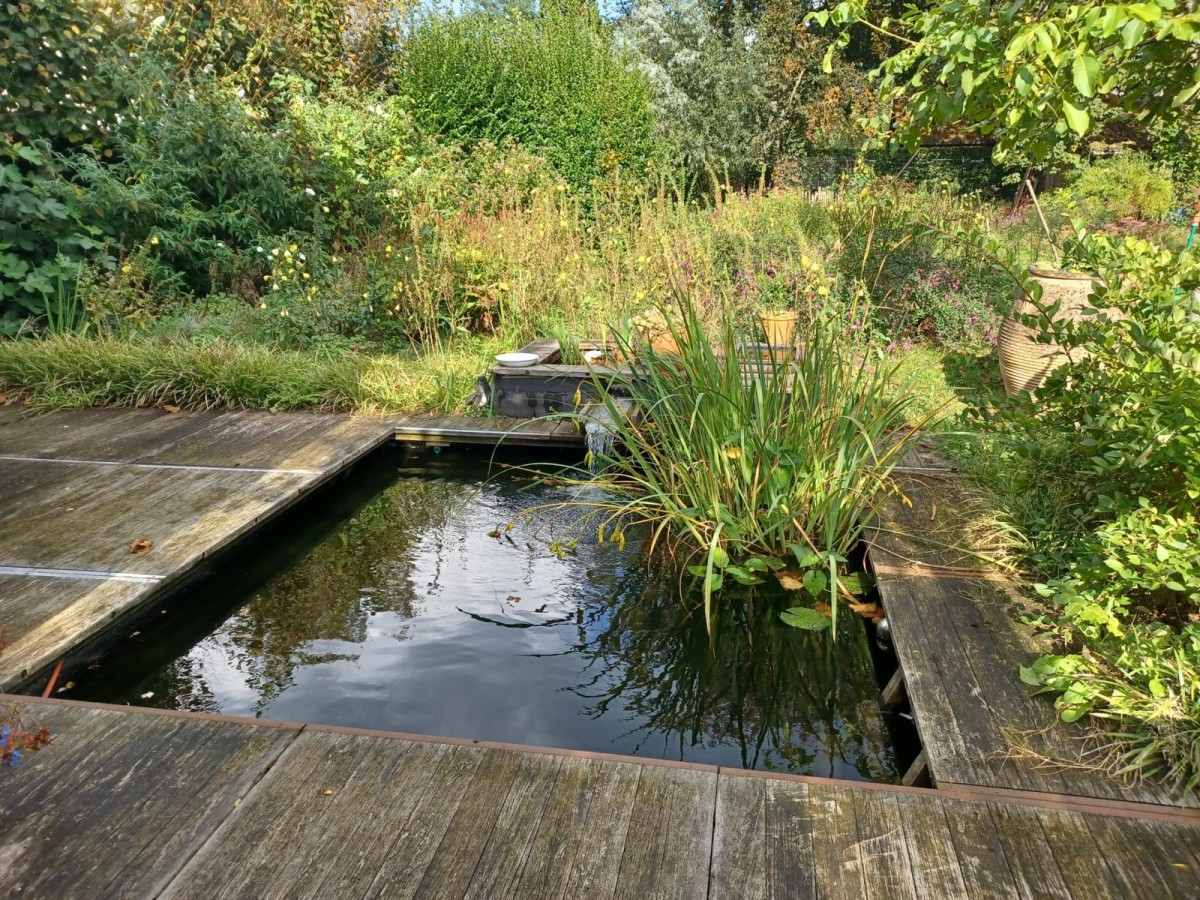 The Garden — photo 3