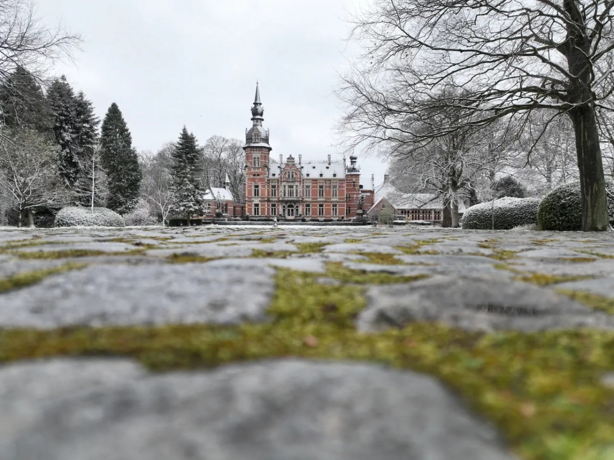 Kasteel van Kapellen — photo 5