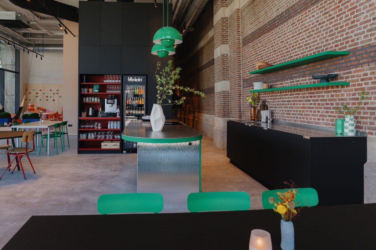 Zelda&Zorro Evergem — photo 4