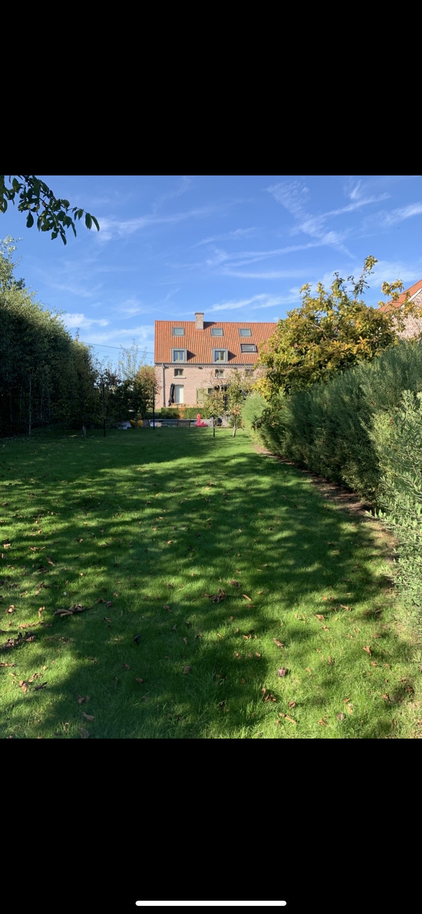 B&B Vossebergen — photo 3