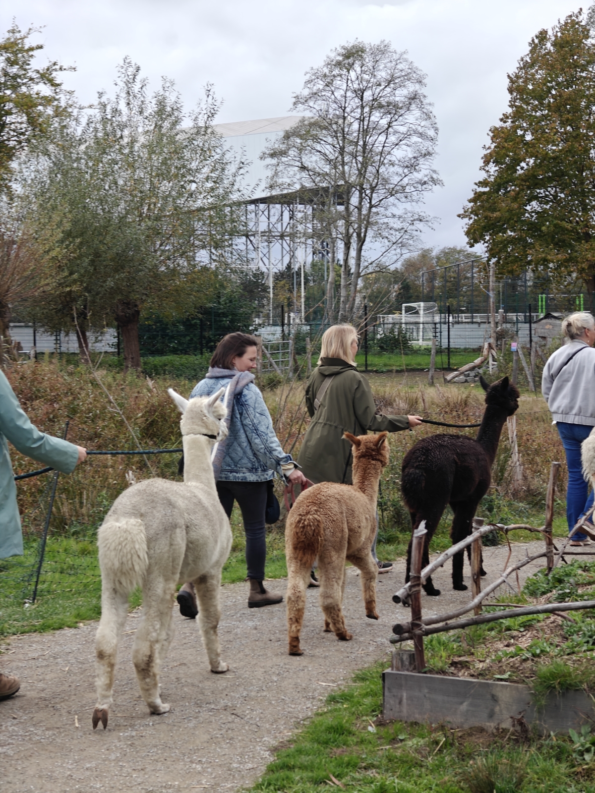 Kinderboerderij Wilrijk — photo 4