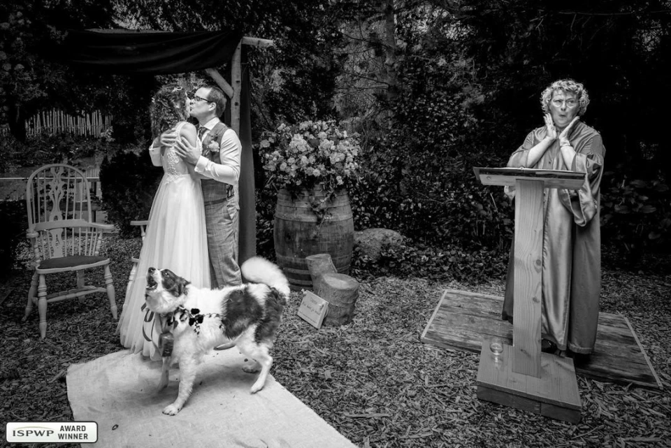 Corali Photography — photo 2