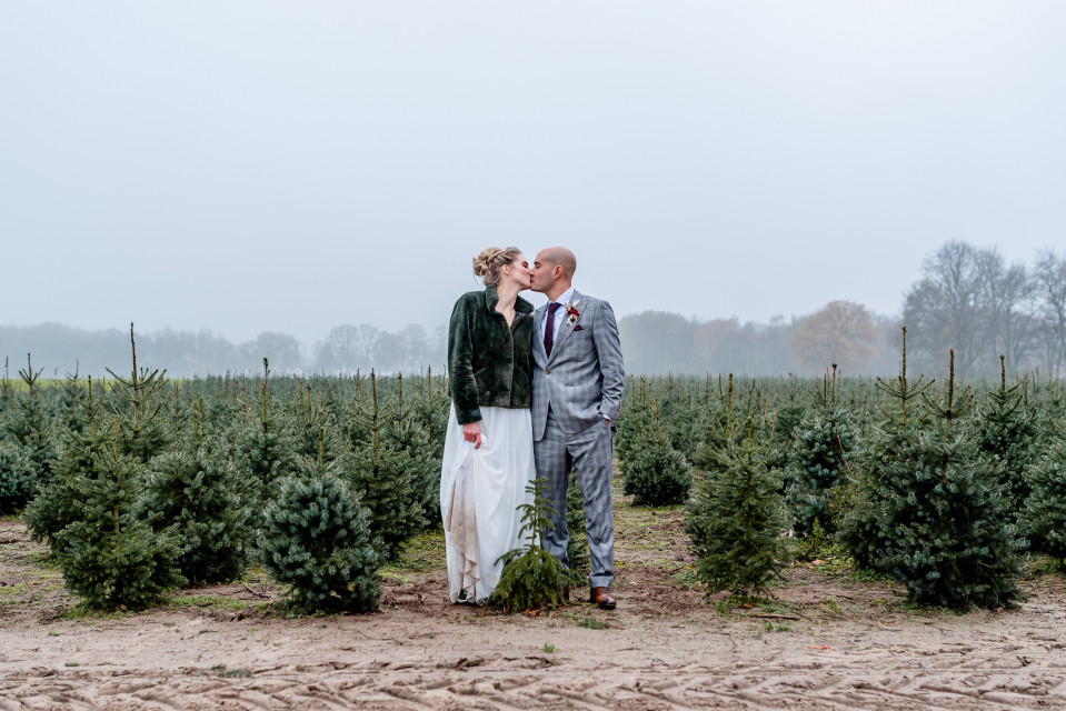 Blauwe Bloesem — photo 2