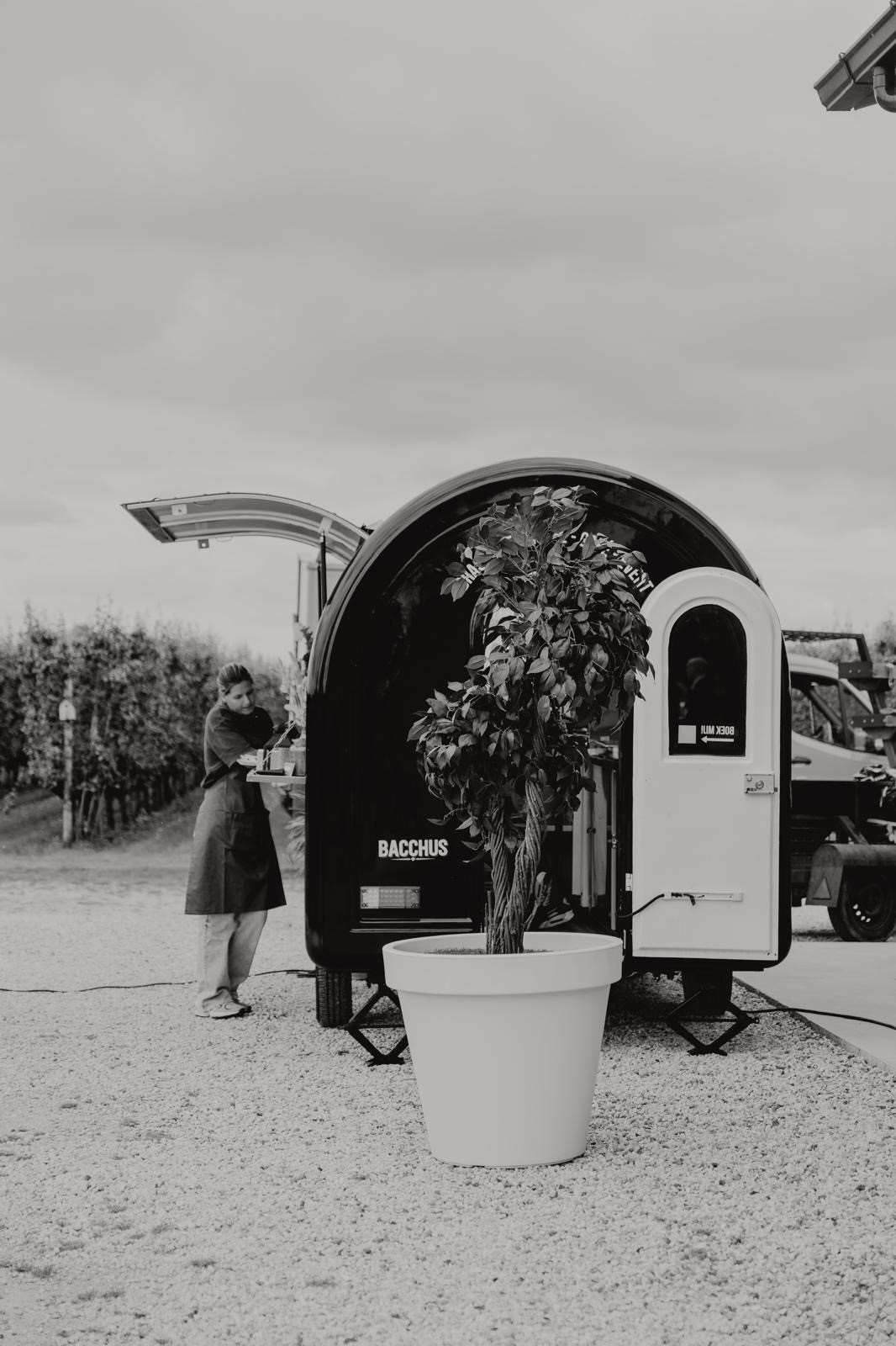Bacchus Catering — photo 4