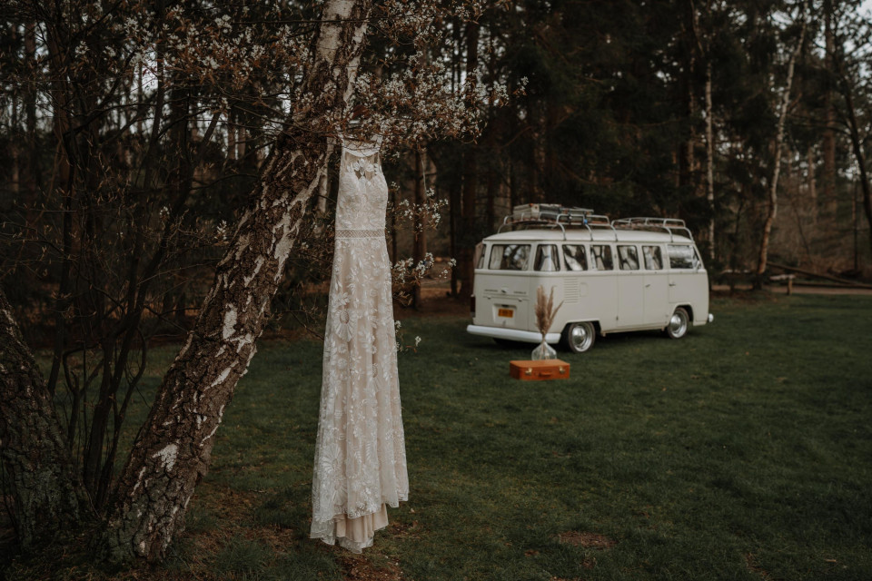 Nature Weddings — photo 3