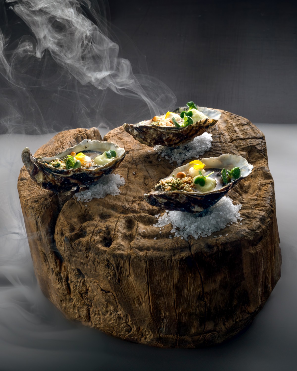 The Art of Fine Cooking — photo 3