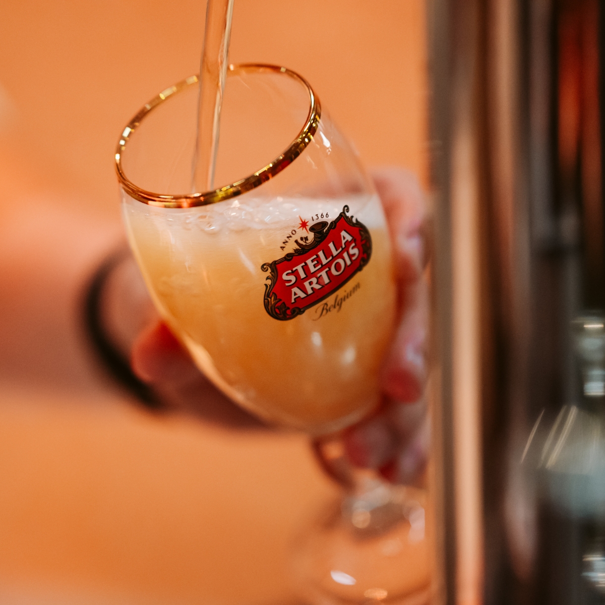Barra-Drinks — photo 4