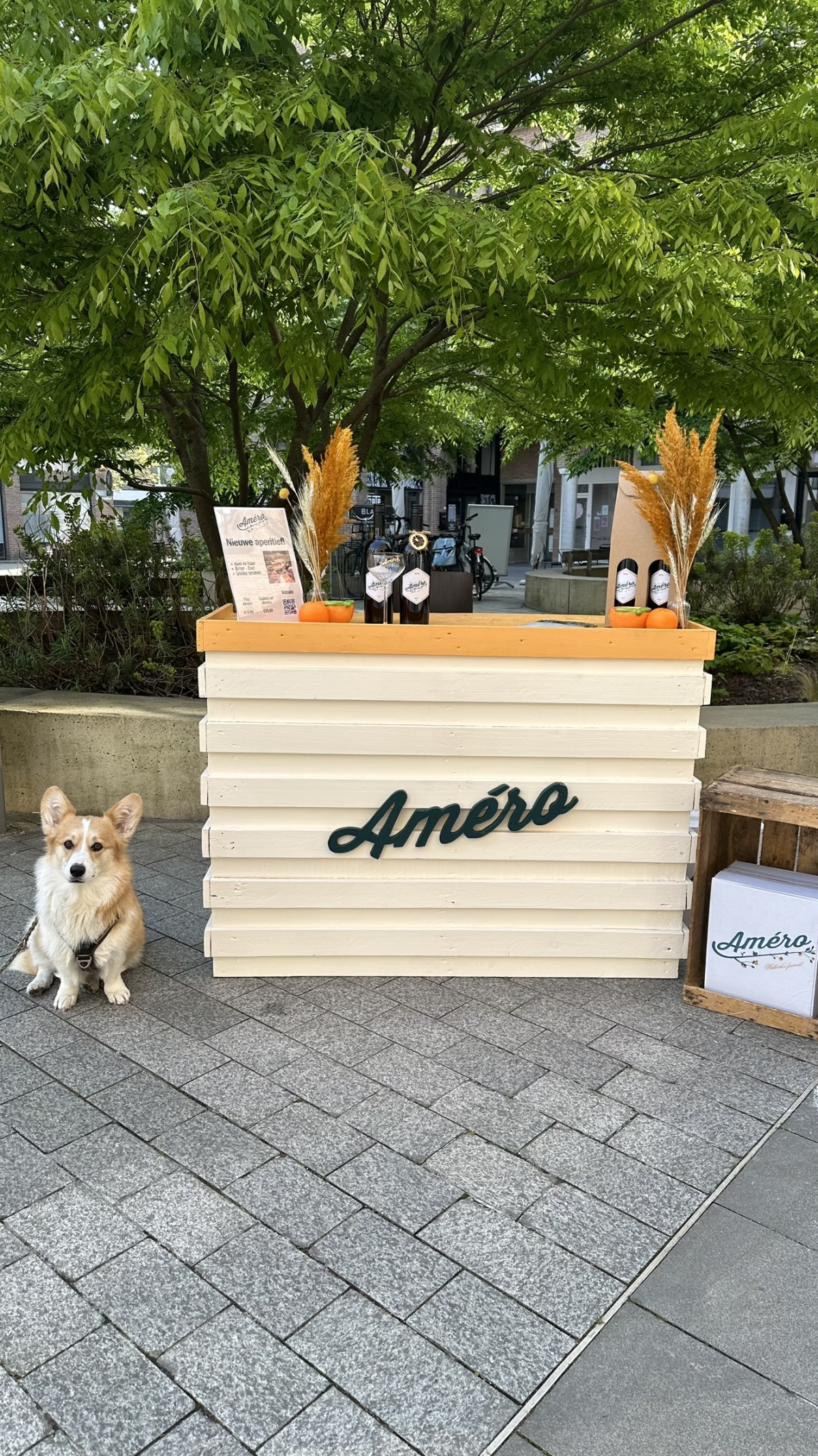 Améro — photo 3
