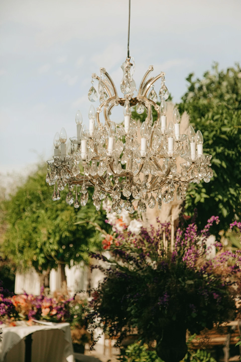 Wild Romance Weddings — photo 4