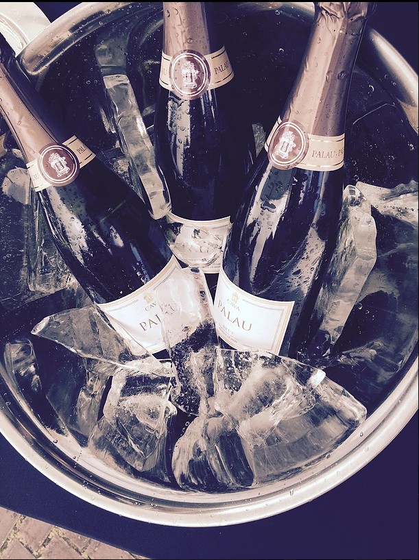 Bubble Your Party — photo 4