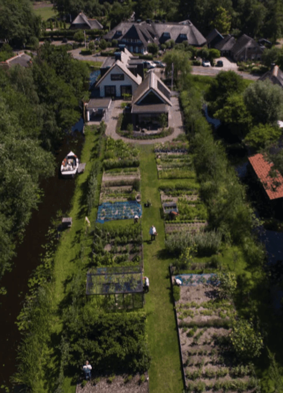 De Lindenhof — foto 4