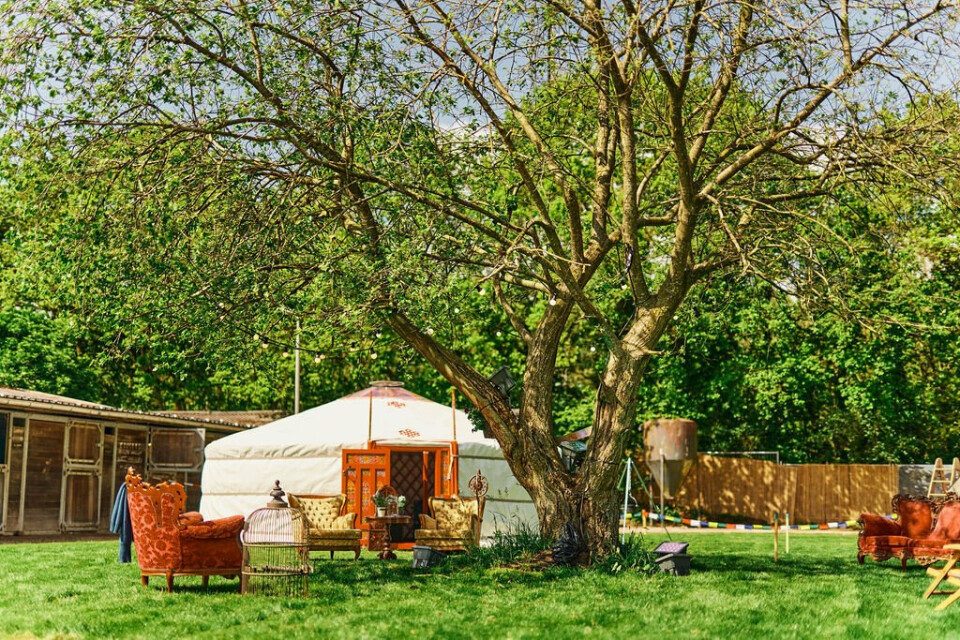 Camp Common Grounds — photo 2