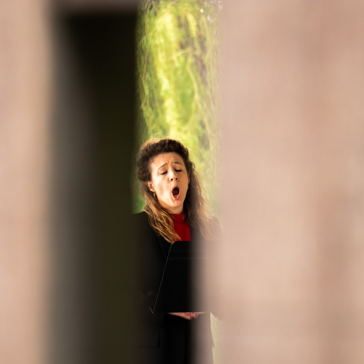 Sopraan Anne-Sophie Lermyte — photo 2