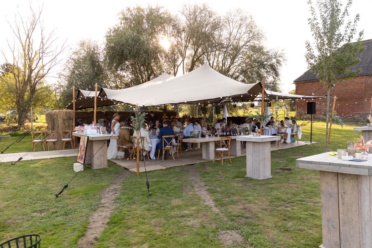 Kameel Op Sletsen — photo 4