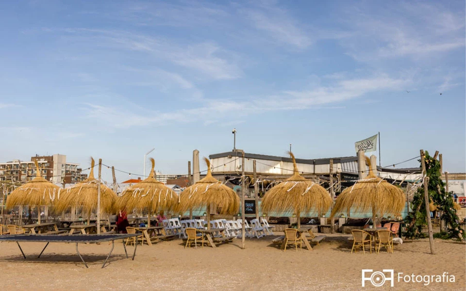 Aloha Beachclub — photo 4