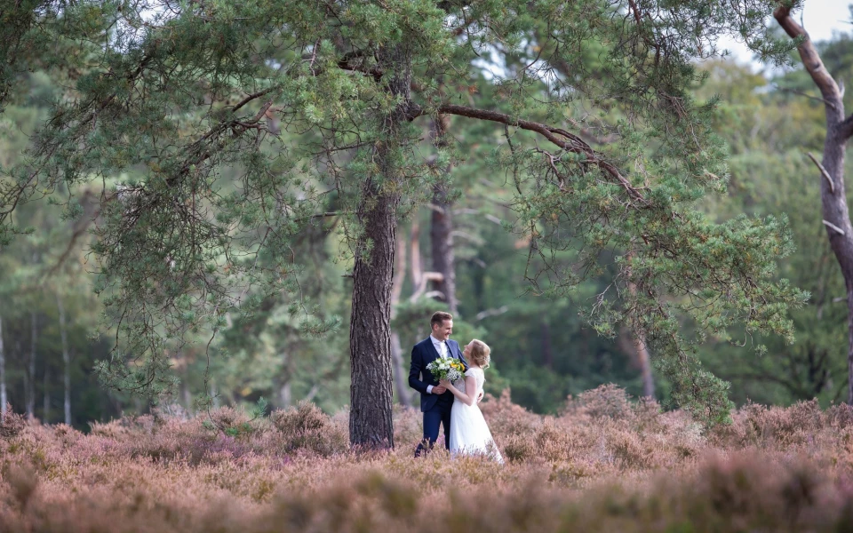 Tjeerd Visser Fotografie — photo 3