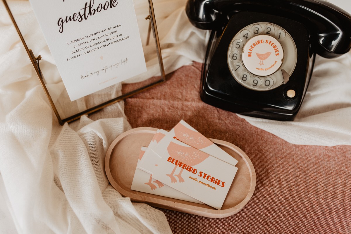 Bluebird Stories — photo 2
