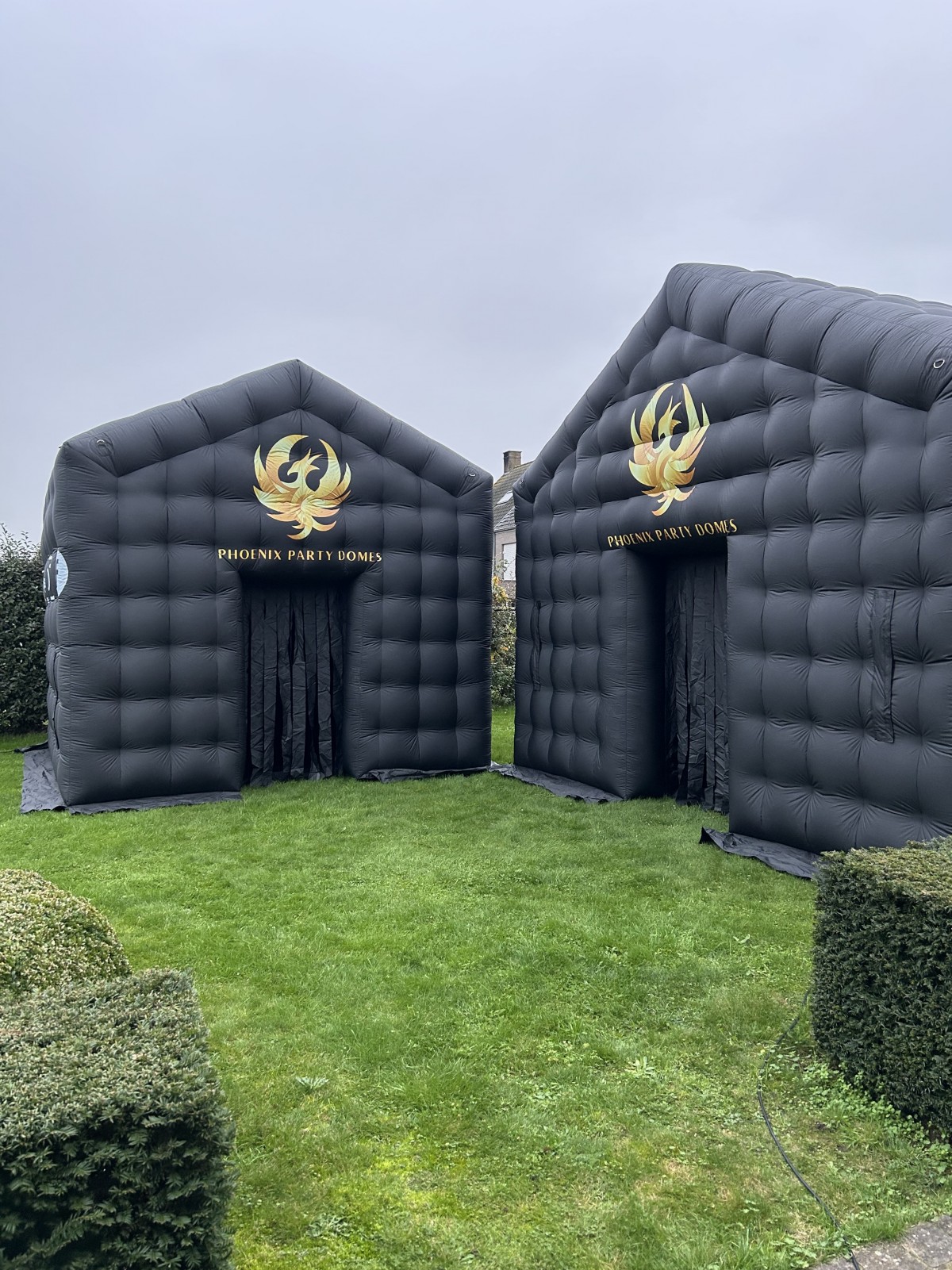Phoenix Party Domes — photo 5