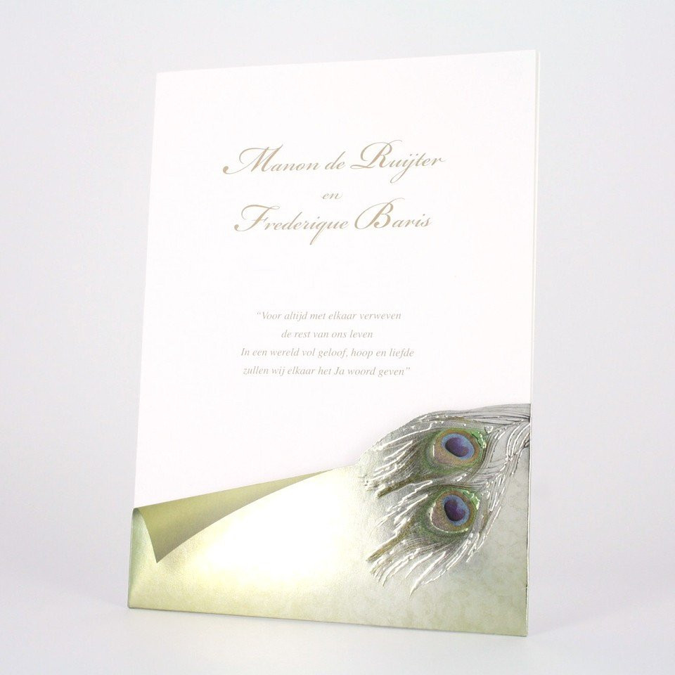Family Cards — photo 2