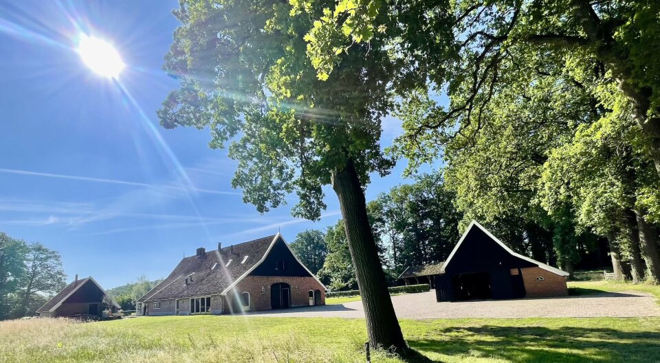 Theehuis Dennenoord — photo 5
