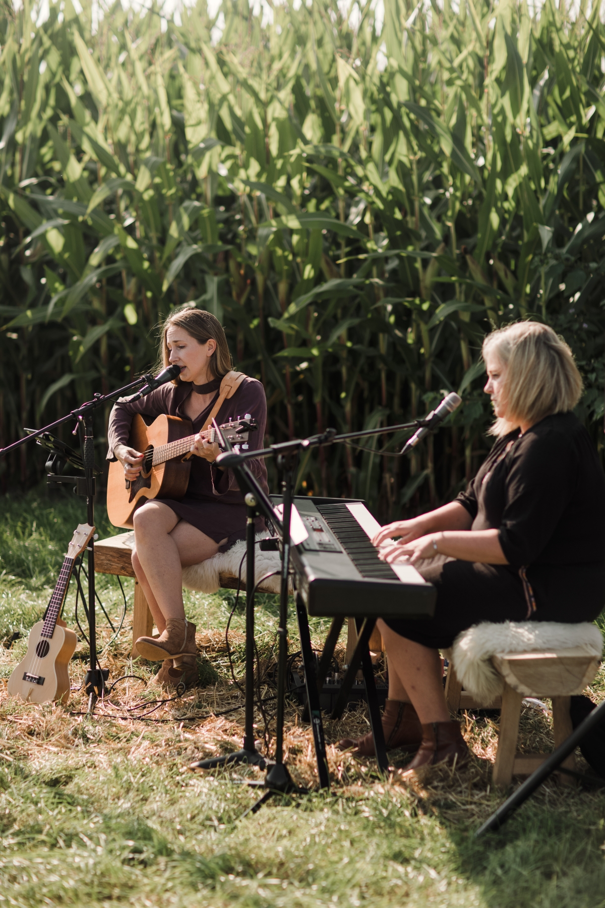 Anne Van Opstal - Live Muziek — photo 3