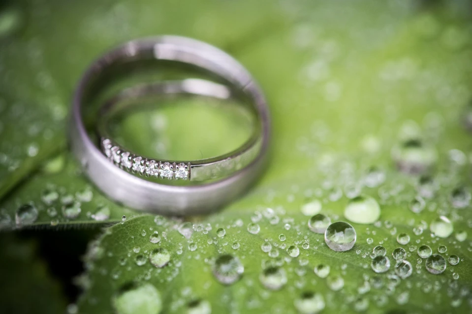 Martin van Dalen Juwelier — photo 3