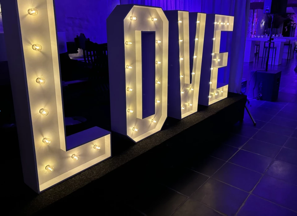 Allround Wedding DJ — photo 4