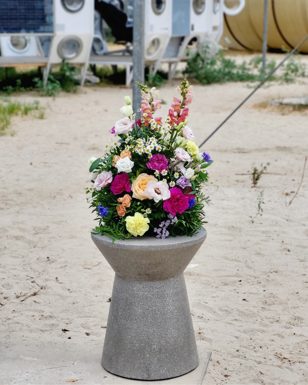 Flores Bloemen — photo 5