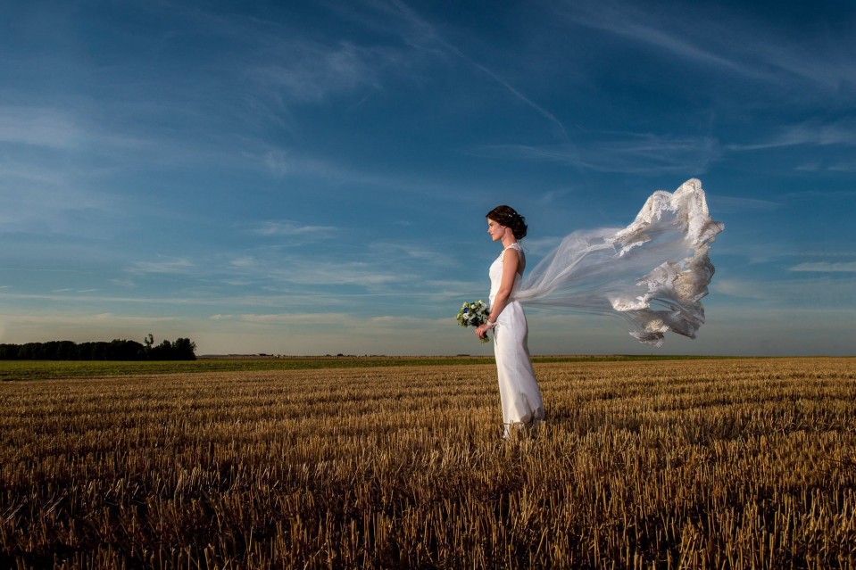 Gallardo Photography — photo 2