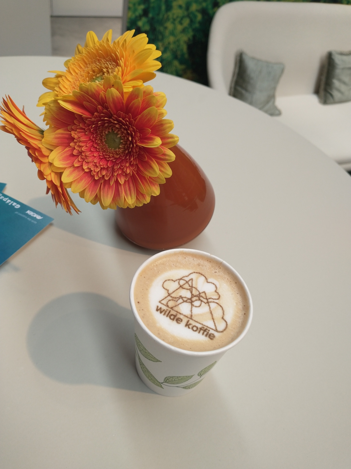 Wilde koffie — photo 3