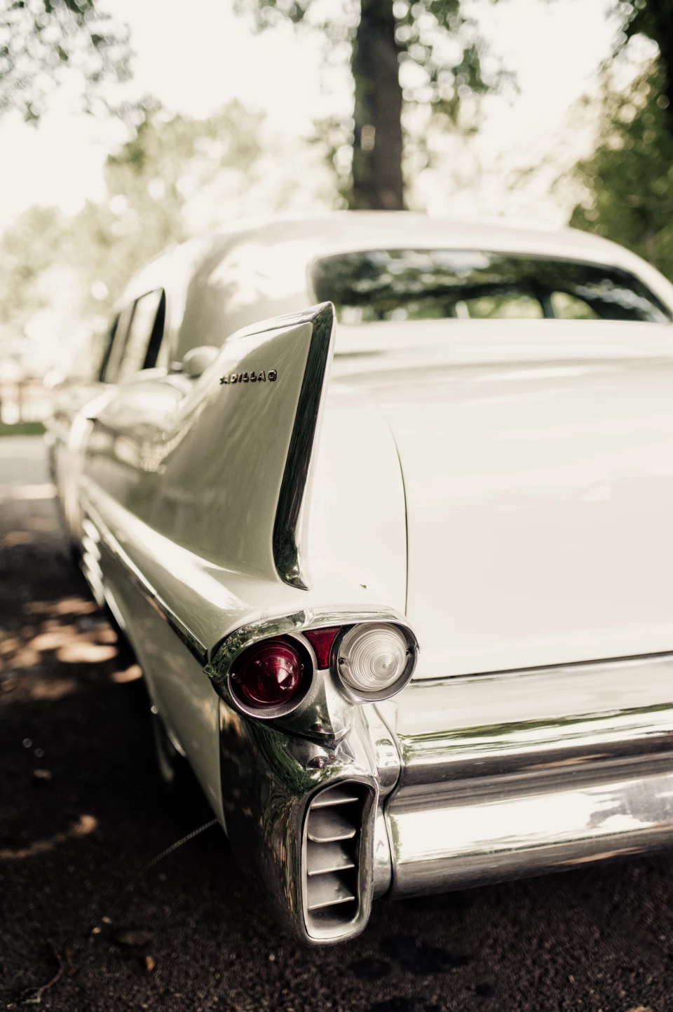 Veluwse oldtimers — photo 3