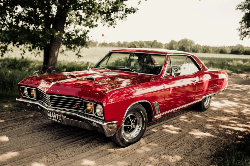Veluwse oldtimers — photo 4