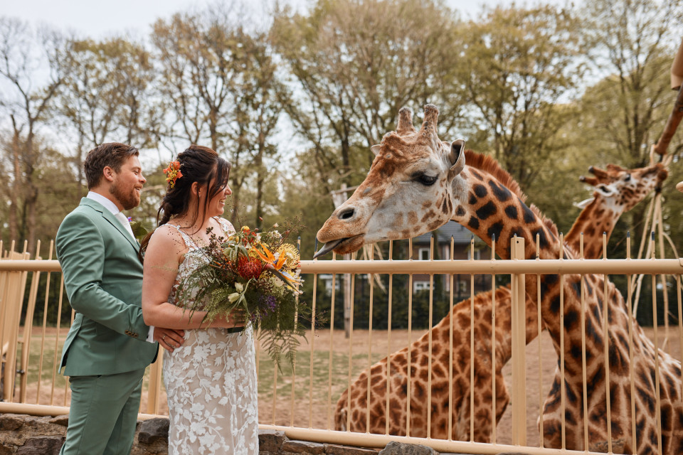 den Hertog Weddings — photo 2
