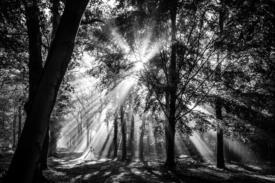 Jan van de Maat Fotografie — photo 2
