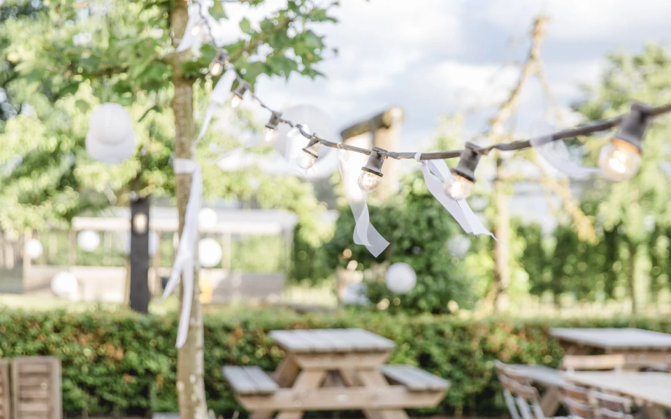 De Fruittuin — photo 5