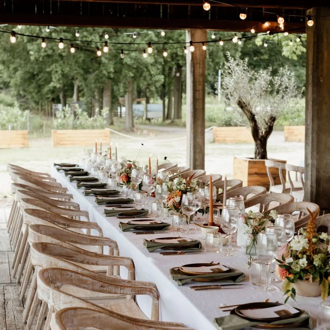 Goldfish Industries – Party Rental — photo 5