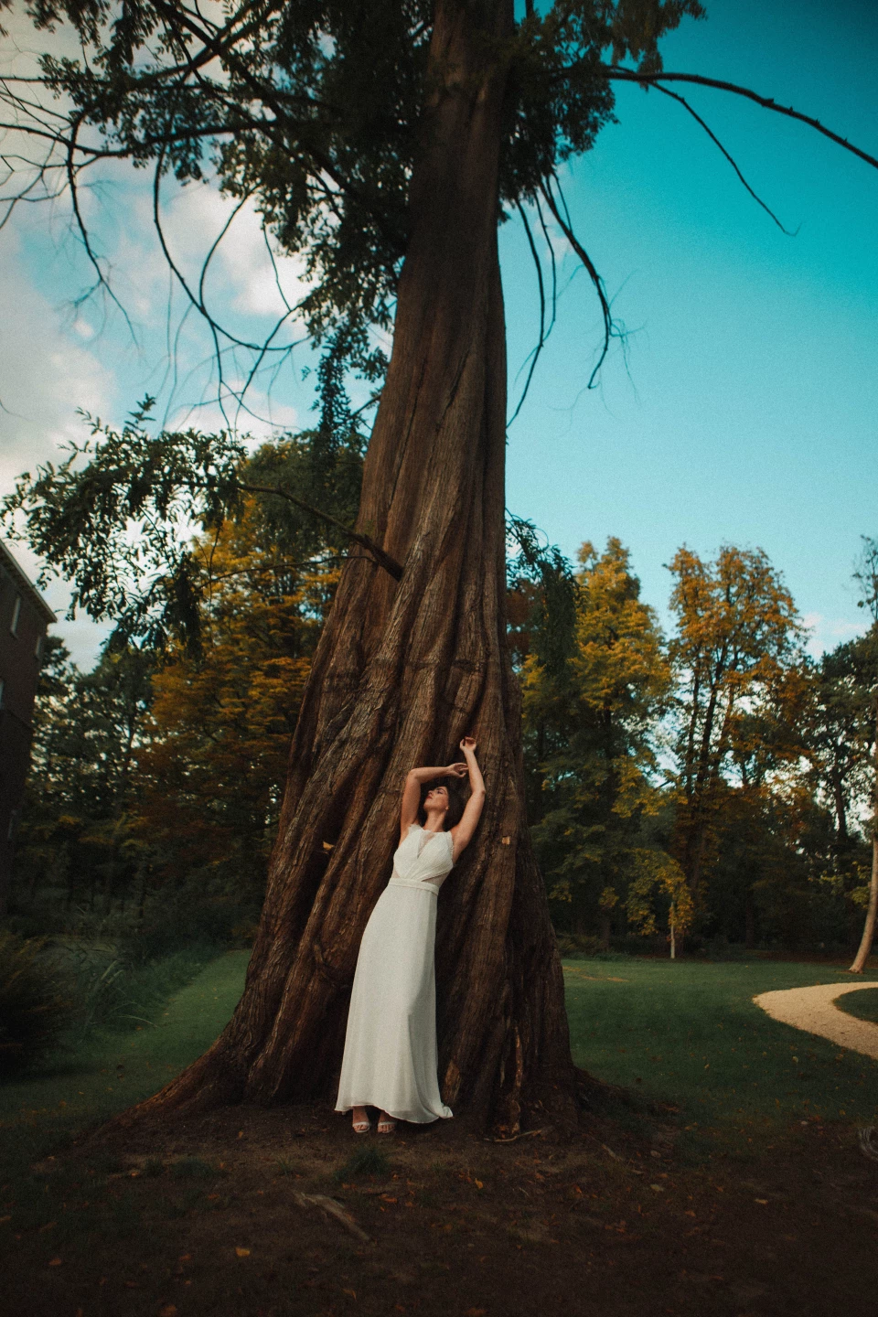 Roy van der Wens Bruidsfoto & film — photo 5