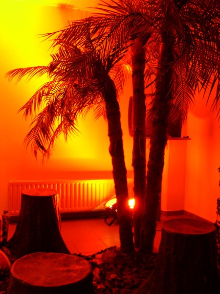 LEMON - Licht en Muziek Onderneming — photo 5