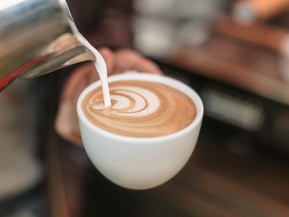 Barista Caffè Cappuccio — photo 4