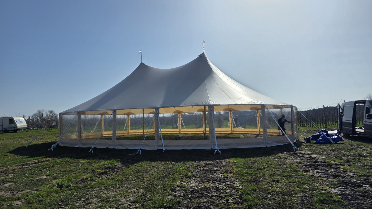 Stretchtent Verhuur Waasland — photo 2