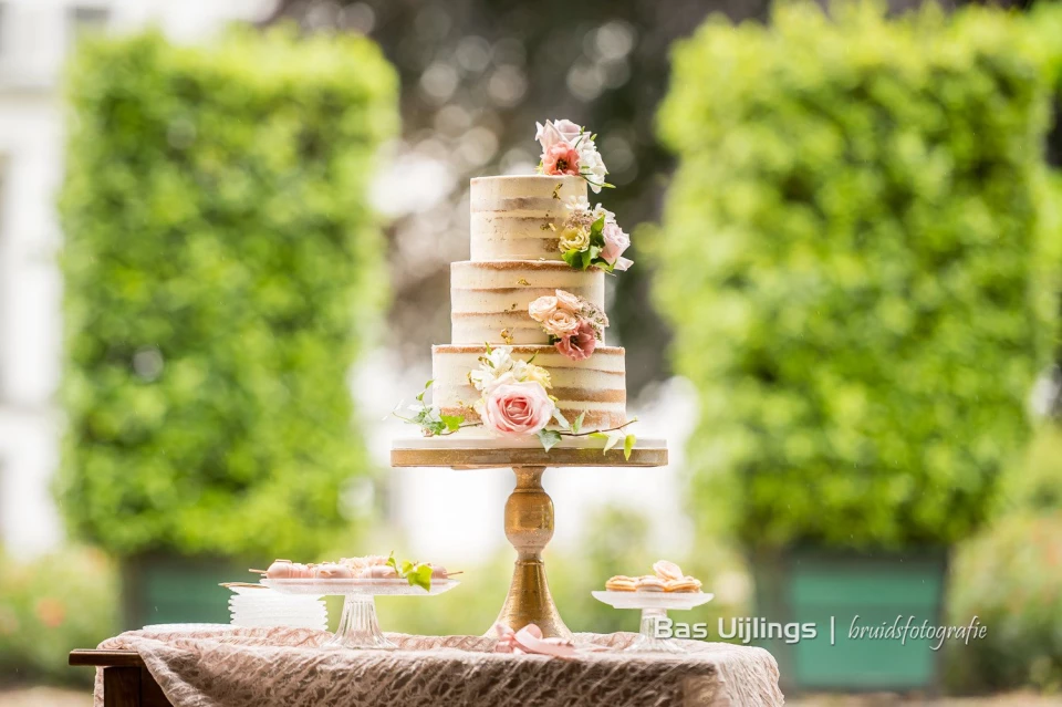 Cake Queen — photo 3